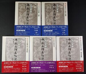 【四字熟語で書く「中国名碑名帖選」劉洪友・5冊】自叙帖/王鐸/十七帖/書譜/争坐位文稿/前赤壁賊/蘭亭叙/蜀素帖/甲骨文/