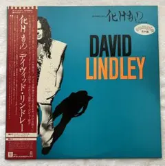 【見本盤】化けもの DAVID LINDLEY P-11016Y