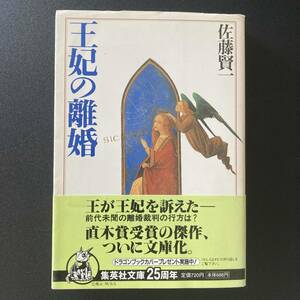 王妃の離婚 (集英社文庫) / 佐藤 賢一 (著)