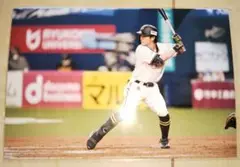 オリックスバファローズ 非売品 福田周平 オリジナル写真