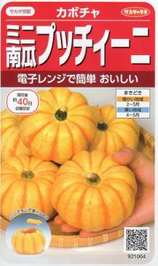 ★注意★発芽有効期限切★　●かぼちゃ●　ミニ南瓜　【プッチィーニ】