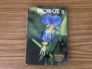 カラー・野に咲く花2/山と渓谷社 /39B