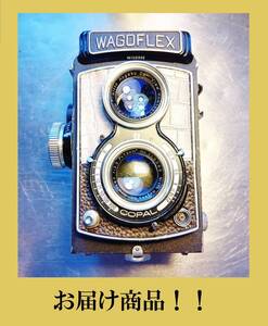 WAGO FLEX 改（103382）