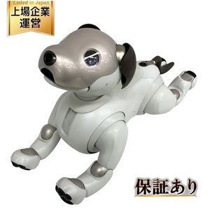 SONY AIBO アイボ ERS-1000 バーチャルペット 犬型 ロボット 中古 S9572628