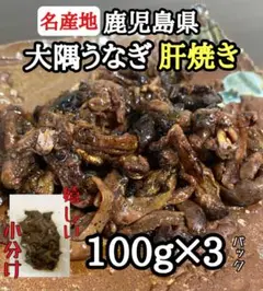 珍味◎【大隅うなぎ】肝焼き 100g×3 おつまみ 鰻蒲焼 スルメ 584