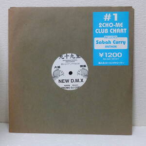 New D.M.X / 九十九里 / 10inch / International Records / DX-011 PROMO DJ COPY ダブマスターX　dub master x 宮崎 泉 