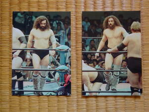 ブルーザー・ブロディ　BRUISER BRODY　写真　2枚　タッグ戦　キリストの様な出で立ち