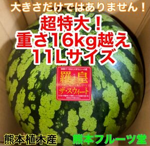 超特大！熊本産【羅皇】秀品11Lサイズ（1玉16〜17kg）熊本フルーツ堂72