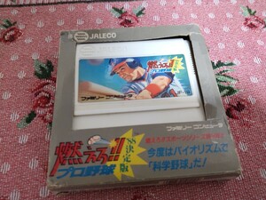 ファミコン 燃えろプロ野球 88決定版