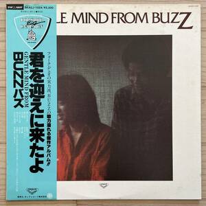 【国内盤/Vinyl/12