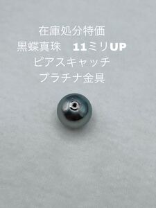 在庫処分特価　黒蝶真珠　ピアスキャッチ　11ミリUP プラチナ金具　