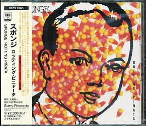 CD　スポンジ（SPONGE）「ロッティング・ピニャータ」新品未開封