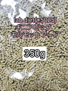 ギニアピッグ ラブダイエット 5025 モルモットフード 350g lab diet デグー チンチラ モルモット 小動物