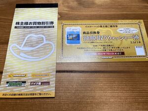 【即決・匿名送料無料】☆最新 イエローハット 株主優待券 3,000円分（300円券×10枚）有効期限：2025年12月31日まで