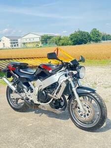 ウルフ250 実動 VJ21A 書類付き 綺麗 （検索 FZ CBR Z NS GSX VT XV バリオス エリミネーター TW ZX RG RZ スズキ