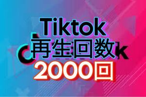 【おまけ 2000回 tiktok 再生回数 増加】ティックトック follower インフルエンサー 自動ツール 宣伝　拡散　工作　2