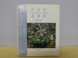 【ARS書店】『花風景 北海道』著者：梅沢俊・ペンサイン有り・竹岡羊子様・1988年・北海道大学図書刊行会／被写体：山岳写真・植物全般