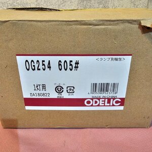 [ODERIC / オーデリック] ポーチライト OG254　605＃ ブラケットライト 屋外 照明器具 未使用/C1572