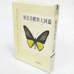 原色台湾蝶類大図鑑 白水隆 保育社 昆虫 書籍 希少 Kキ00