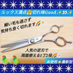 スパッと快適に切れる理美容師サロン用☀人気の逆刃セニングシザー両面使用OK☀✨️