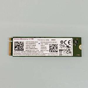 「正常」判定 M.2 NVMe SSD 256GB UMIS RPETJ256MGE2MDQ 使用時間21019時間 ジャンク扱い B2140