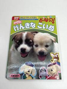 NHKおはようテレビえほん　おかあさんといっしょ　ドレミファ・どーなっつ　アニメえほん　1993年 平成5年初版【K101159】