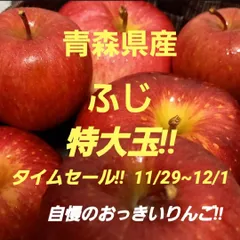 ★期間限定★青森県産 ふじ りんご 特大玉 6~8玉 ⑮