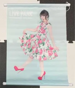 水樹奈々　LIVE PARK ミニタペストリー