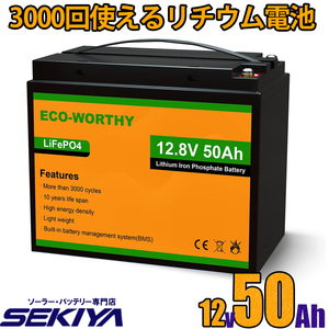 リン酸鉄リチウム電池 12v 50Ah 640Wh 3000回寿命 BMS保護 軽量 コンパクト LiFePO4 ディープサイクルバッテリー SEKIYA