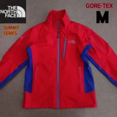 【送料込み】ノースフェイス GORETEX マウンテンジャケット レディース M