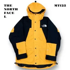 人気品！ THE NORTH FACE GORE-TEX NP-2190 黄 L