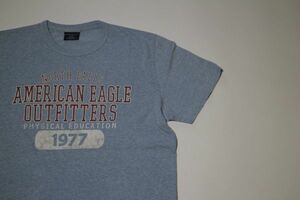 【古着アメリカンイーグルアウトフィッターズプリントTシャツ水色S】AMERICANEAGLE OUTFITTERS格安スタート