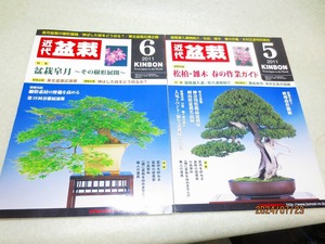 [緑の市場] 近代盆栽 2011年5月号/6月号 2冊組 定形外郵便送料無料/ポスト投函