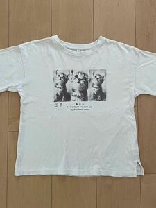 ★130cm ねこフォトTシャツ