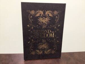 ⑧⑦美品★BEYOND THE KINGDOM 写真集＋未開封DVD KISAKI