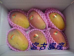 宮古島産　アップルマンゴー家庭用　５－７玉で約２㎏以上　送料無料