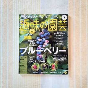 NHKテキスト 趣味の園芸2017年7月号●今年こそ大きくおいしいブルーベリー●ブドウ&ベリー類／秋に大きなバラ 木村卓功／アンスリウム