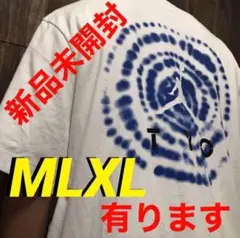 早いもの勝ち‼️ナイキ✨JORDAN✨バックプリント✨オーバーサイズ　Tシャツ　L