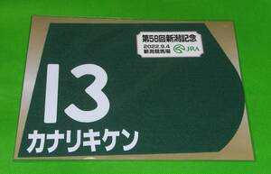 JRA 競馬 2022年 第58回 新潟記念 カナリキケン 出走馬ミニゼッケン 未開封品