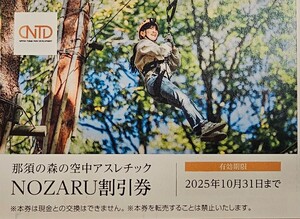 ☆最新★那須の森の空中アスレチックNOZARU/KOZARU ★日本駐車場開発株主優待券割引券 1枚 ～2025.10.31