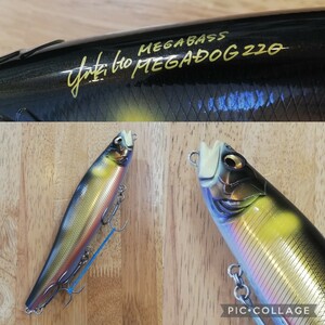 良好　メガバス　メガドッグ220　MEGA BASS　MEGADOG220　釣具　