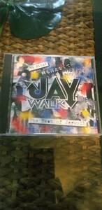 JAYWALK 何も言えなくて… -THE BEST OF JAYWALK- CD