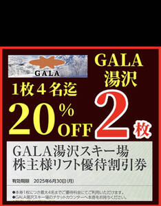 ガーラ湯沢スキー場リフト券GALA湯沢スキー場リフト券　割引券　優待券　２枚