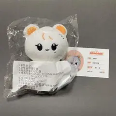 スングァン　ぬいぐるみ　10cm 新品　マスター　セブチ　svt