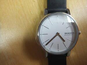 SKAGEN　DENMARK　SKW3120　２