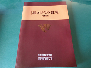 縄文時代草創期資料集 横浜市歴史博物館