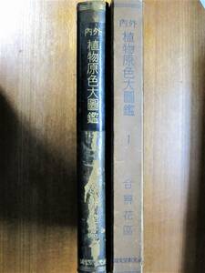 内外/植物原色大図鑑/第一巻 合弁花区■村越三千男■誠文堂新光社/昭和12年/新装版初版