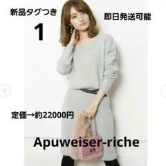 新品夕グ付 Apuweiser-riche 袖刺繍アンゴ ラニットワンピース　S