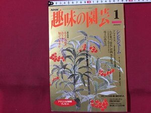 ｓ◆　平成7年　NHK 趣味の園芸 1月号　シンビジューム 他　日本放送出版局　書籍のみ　書籍　雑誌　/M99