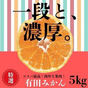 みかん 5㎏ 極上な有田みかん 衝撃コスパ 蜜柑 減農薬 ミカン 産地直送 甘い 高糖度 超濃厚 魅惑の 贅沢な一品 リッチ 売り切れご免 W5